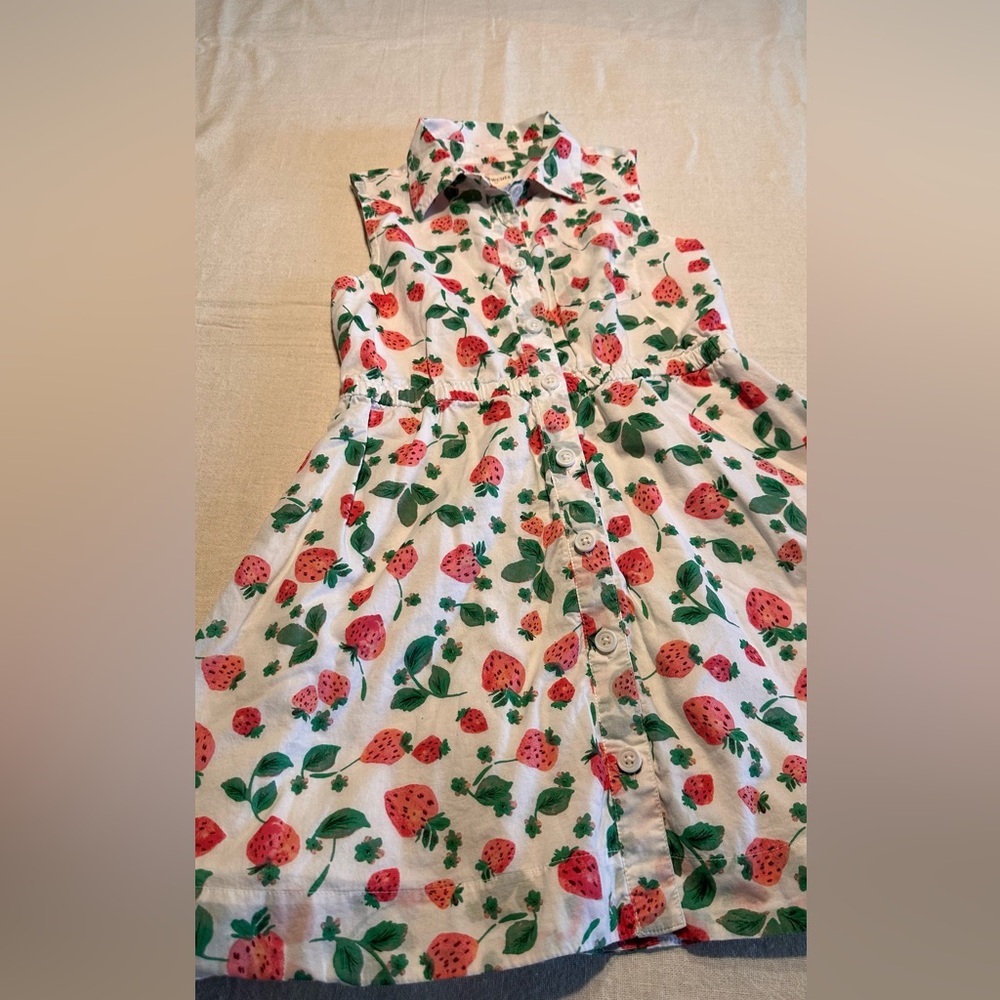 Crewcuts Girls Strawberry Print Dress – Size 6